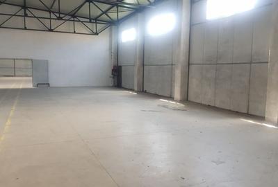 Hala 500 mp Oras Pantelimon - 4