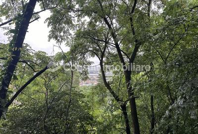 Casa Individuala | Grigorescu - 12