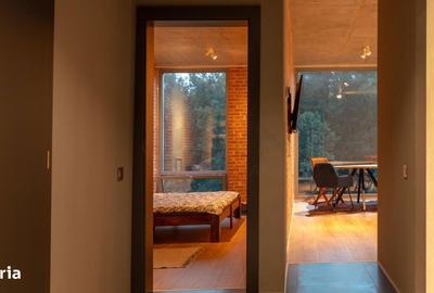 Apartament cu 2 camere, mobilat în Mogoșoaia - 6