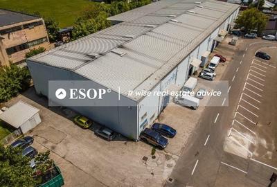 Hala de vanzare Dudesti-Pantelimon Hala de vanzare Dudesti-Pantelimon - 4