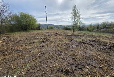 Teren de 6704 mp, în Hărău - 8