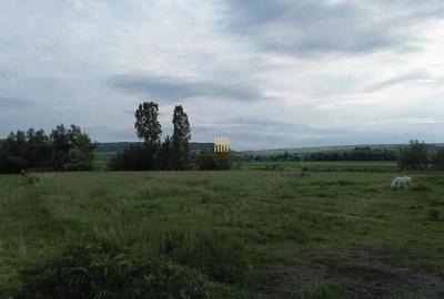 Teren de 3953 mp, în Fălticeni - 5