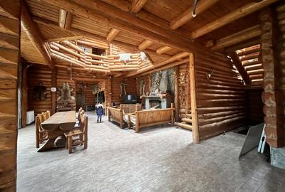 Cabana vanatoreasca din lemn cu vedere spectaculoasa, langa Castelul Cantacuzino - 10