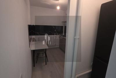 Apartament cu 2 camere decomandat în Giurgiului - 6