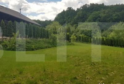 Casă cu 5 camere cu Teren 3000 Mp în Făget - 4