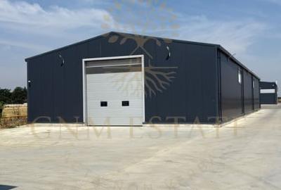 Spațiu industrial, de 590 mp, în Vârteju - 2