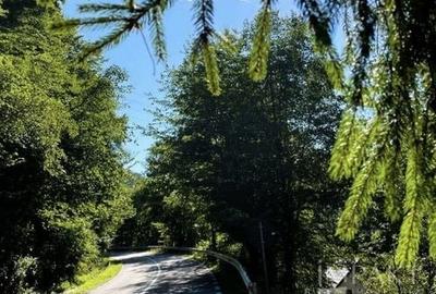 De vanzare cabana in Marisel 810mp,  oportunitate investiție - 14