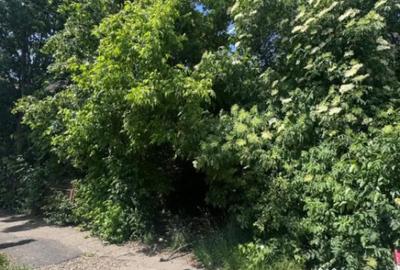 Teren de 4200 mp, în Rădăuți - 1