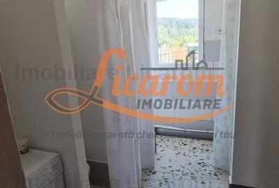 Casă individuală cu 8 camere decomandat cu Canalizare în Cristian - 24
