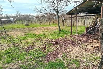 Casă cu 5 camere în Lipovu - 4