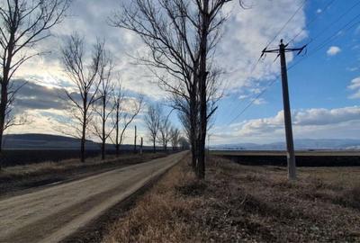 Spațiu comercial, în Central - 4