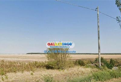 Teren de 13900 mp, în Ștefăneștii de Jos - 2