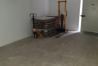 Hala frig/ spatiu str Isaccei zona Dedeman - 8