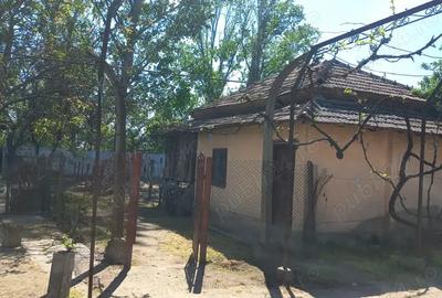 Vand casa+anexe+ garaj , ianca olt - 4
