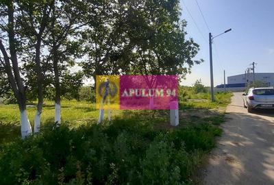 Teren Construcții intravilan de 5000 mp, în Copăceni - 2