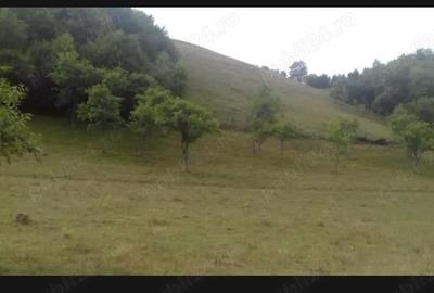 Casă cu 5 camere cu Teren 70000 Mp în Blăjeni - 1