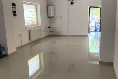 Casă individuală cu 10 camere în Scriitorilor - 9