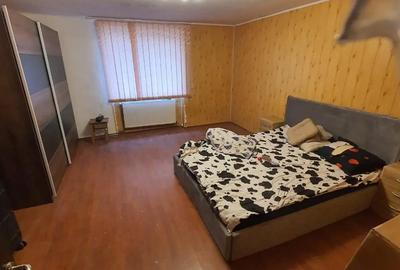 Casă cu 3 camere cu Teren 2175 Mp în Mailat - 2