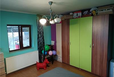 Casă cu 3 camere cu Teren 3000 Mp în Români - 2