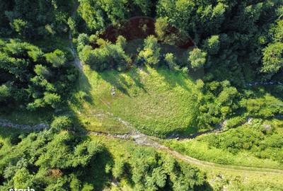 Spațiu comercial, în Central