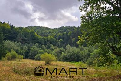 Teren 550 mp Dambul Morii - 3