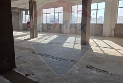 Spatii 200/430 mp lift marfa Baicului platforma industriala - 4