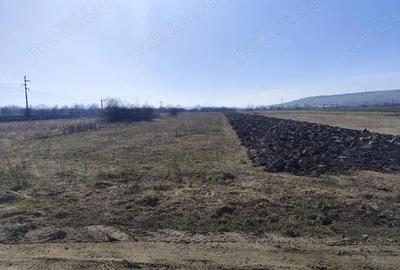 Teren de 11000 mp, în Răscruci - 1
