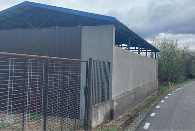 Casă cu Teren 1100 Mp în Cârbești - 1