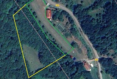 Spațiu comercial, în Leșnic - 1