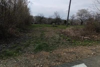 Teren de 6800 mp, în Șișești - 1