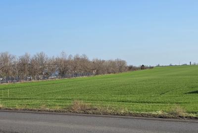 Teren Construcții extravilan de 12000 mp, în Agigea - 2