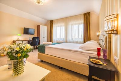 Apartament cu 3 camere decomandat, mobilat în Drumul Poienii - 1