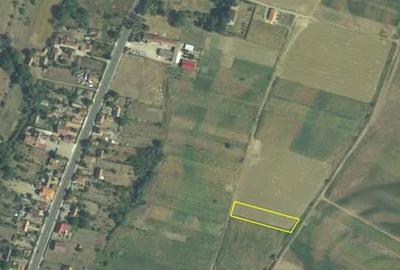 Spațiu comercial, în Băcia - 2