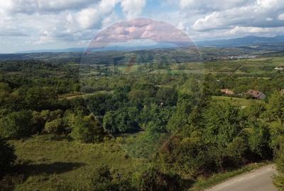 Teren intravilan de vanzare in Magureni - 5