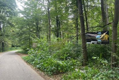 Teren intravilan de 4003 mp, în Snagov - 1