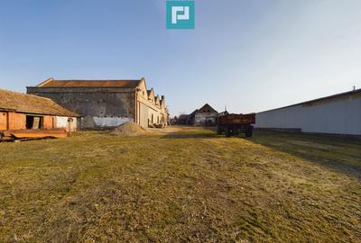 Teren ?i hale pe Calea Aradului din Periam - 5