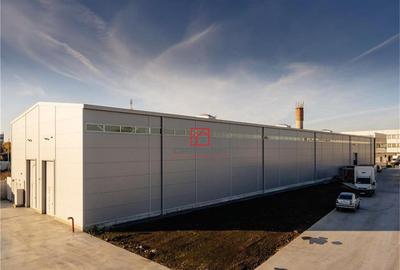 Depozit/hala/spatiu industrial Theodor Pallady - Drumul Int - 3