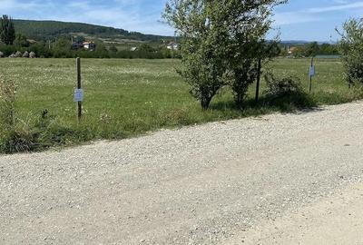 Teren de 1560 mp, în Central - 5
