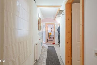 Spațiu comercial, de 750 mp, în Sohodol - 11