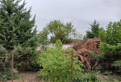 Vladiceasca, Snagov - 5