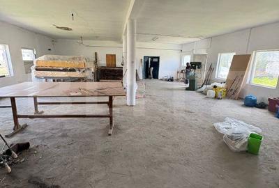 Spațiu comercial, de 400 mp, în Budacu de Jos - 3