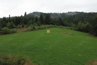 Teren de 5023 mp, în Voroneț - 1