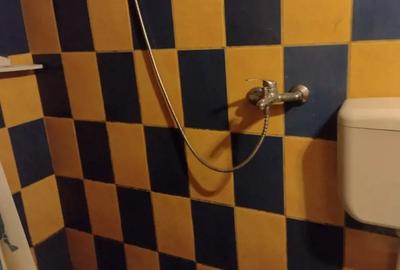 Garsonieră decomandată în Cantemir - 4