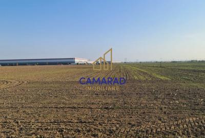 Teren intravilan de vanzare - zona industriala Domnesti/A1 - 2