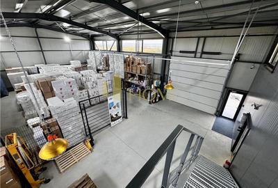 Vanzare hala industriala cu platforma betonata, in Paulestii Noi, acces tir - 3