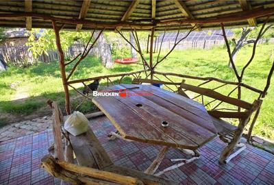 Casă cu 6 camere cu Teren 1726 Mp în Ultracentral - 14