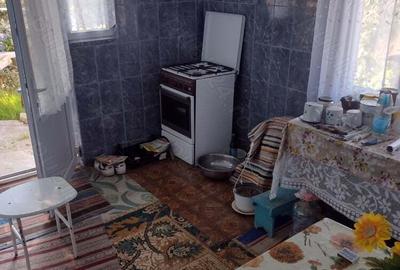 Casa de vanzare in Pihne?ti - Vaslui - 8