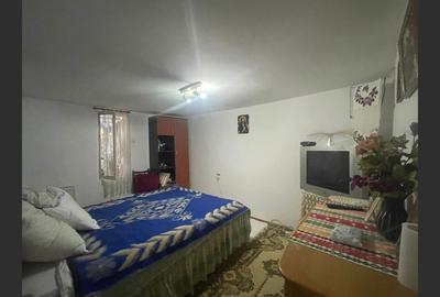 Casa cu garaj in Calnic, 231 mp construiti - 4
