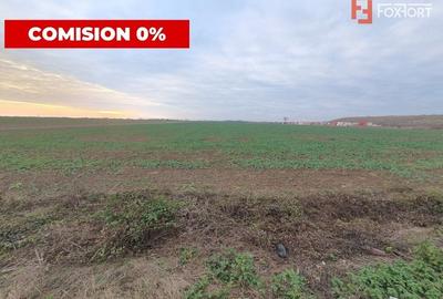 COMISION 0% Teren extravilan agricol 10.000 mp la sosea in Sag - 2