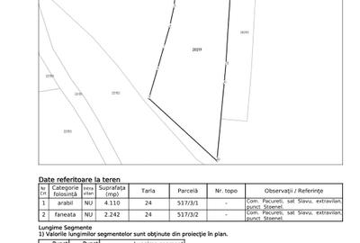 Teren agricol extravilan de 6352 mp, în Păcureți